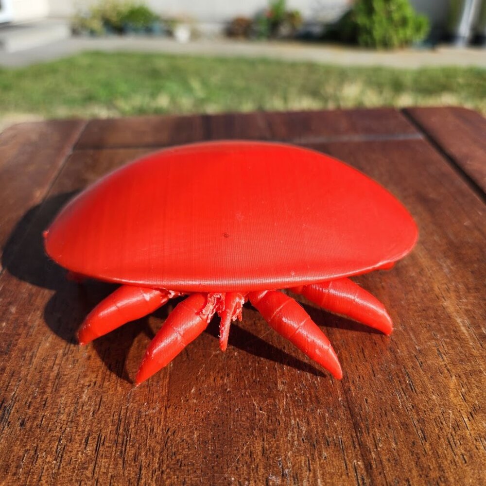 Varroa Mite Varoa Destructor Bug Insect Model Beekeeping Honeybees Bee Save Bees